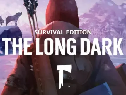 The Long Dark Survival Edition Steam CD key